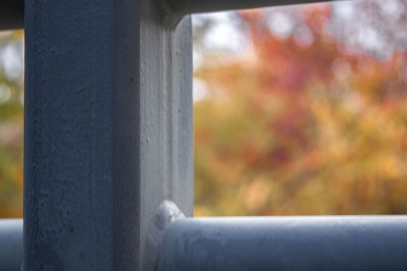 Autumn Frame
