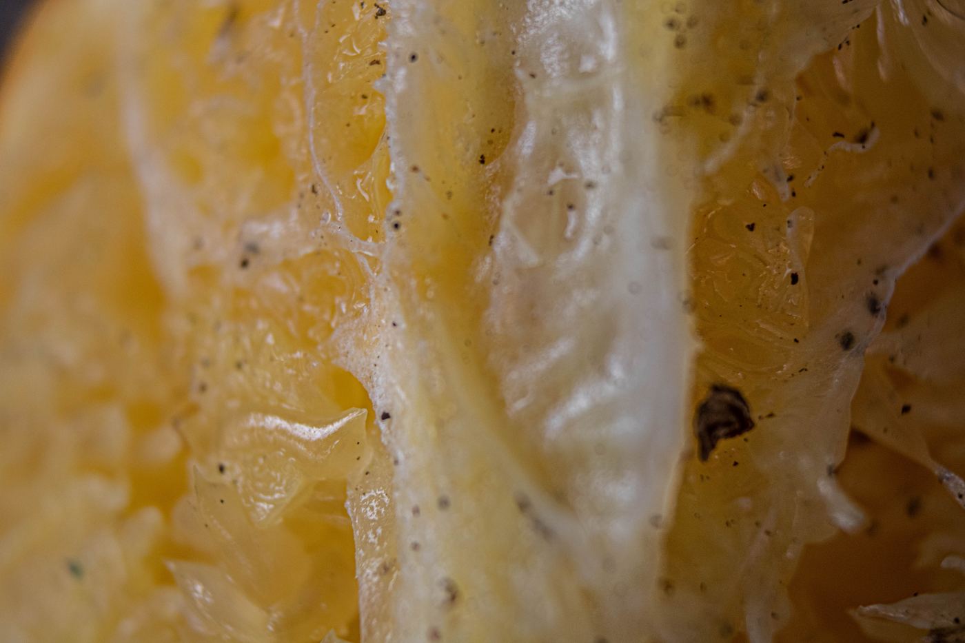 Citrus