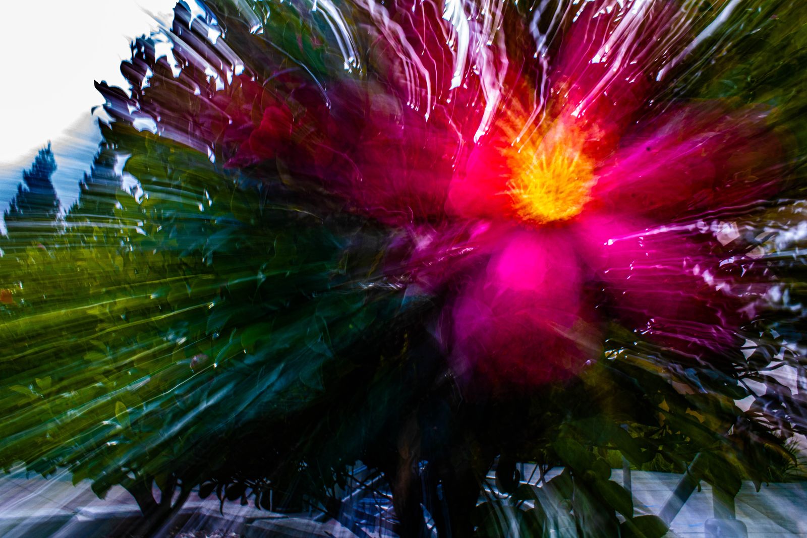Garden Velocity