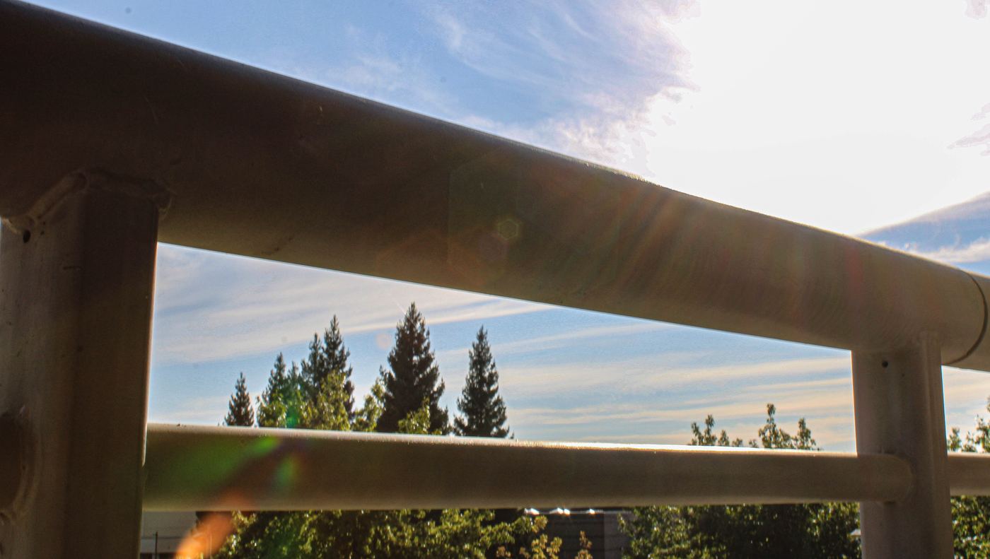 Through the Rail